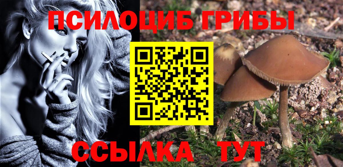 Галлюциногенные грибы Psilocybine cubensis Партизанск