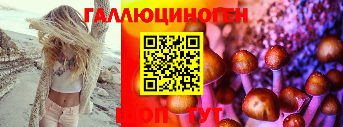 Галлюциногенные грибы MAGIC MUSHROOMS  Вход с VPN  купить  цена  Галлюциногенные грибы MAGIC MUSHROOMS  Партизанск 